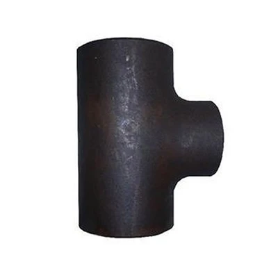 Garnitures de tuyau forgées par acier inoxydable SS316H